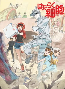 hataraku saibou tv